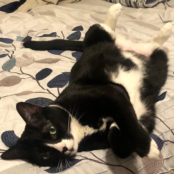 Meet your Posher, Kelsey - Picture 1 of 1